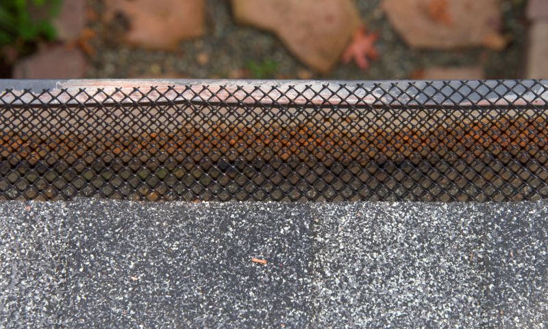 Gutter Guards