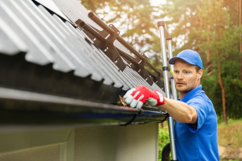 Gutter Maintenance Work